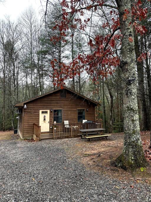 Private Cozy Cabin In The Woods With Great View Murphy Buitenkant foto