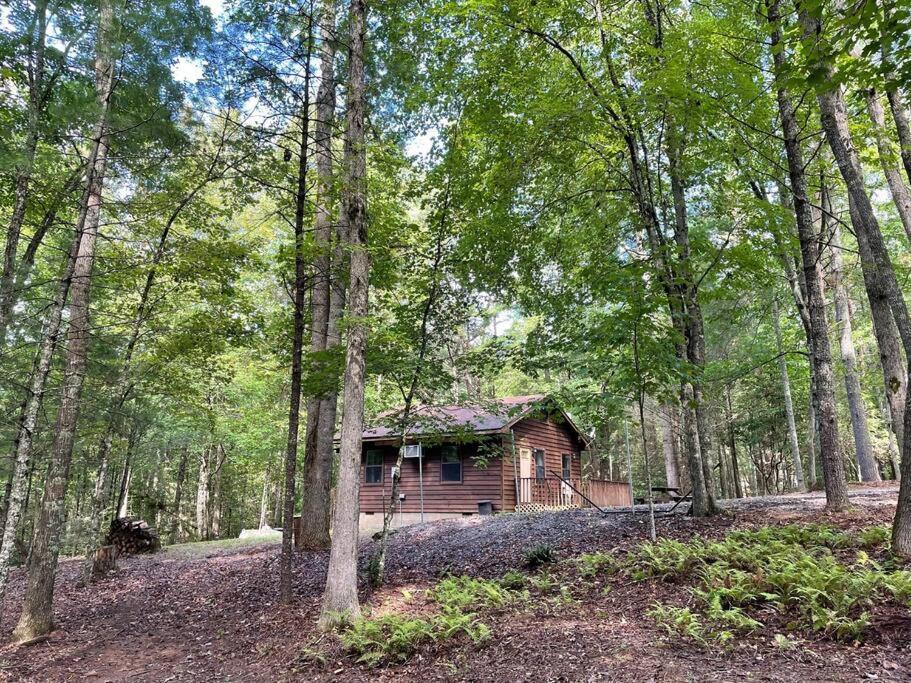 Private Cozy Cabin In The Woods With Great View Murphy Buitenkant foto